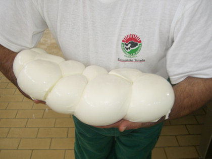 Mozzarella di Bufala appena preparata