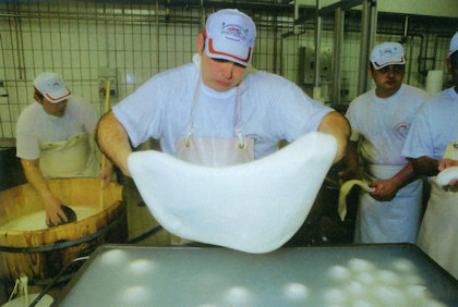 Produzione Mozzarella di Bufala
